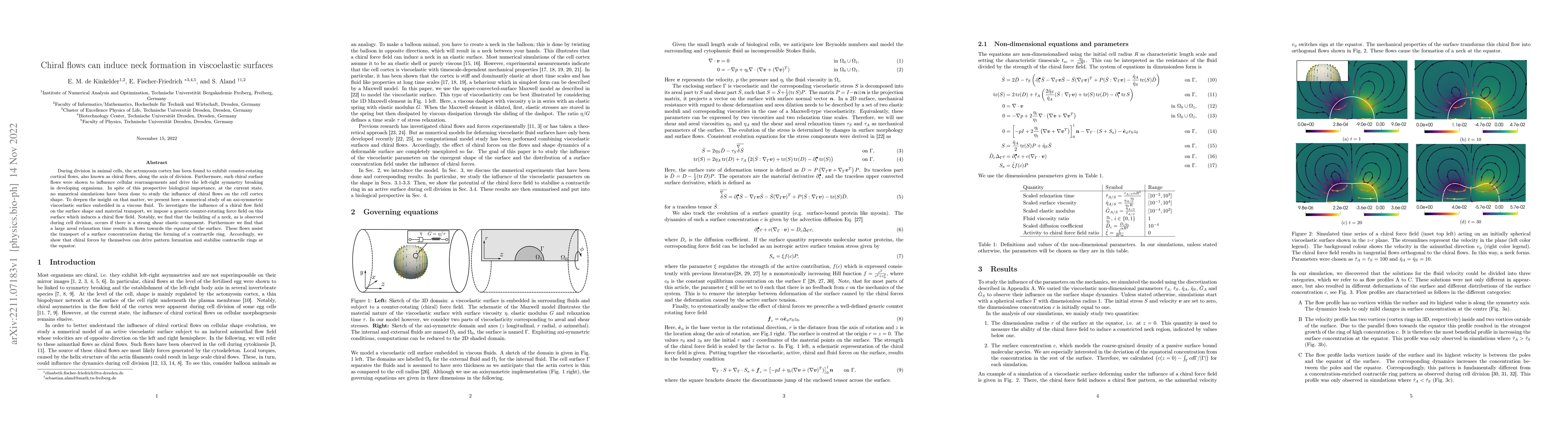Thumbnail for Chiral flows can induce neck formation in viscoelastic surfaces