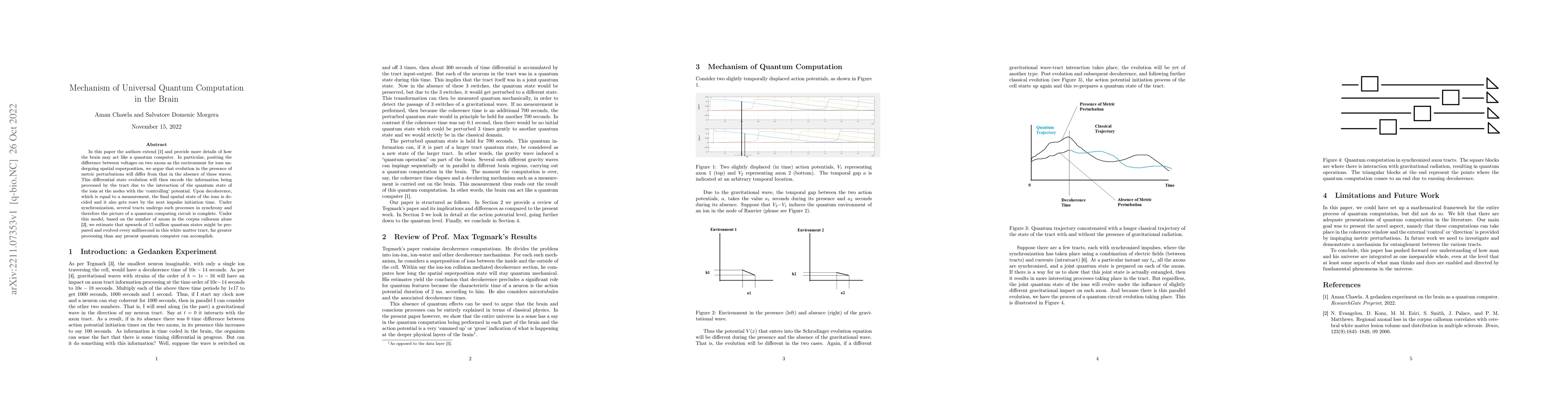 Thumbnail for Mechanism of Universal Quantum Computation in the Brain