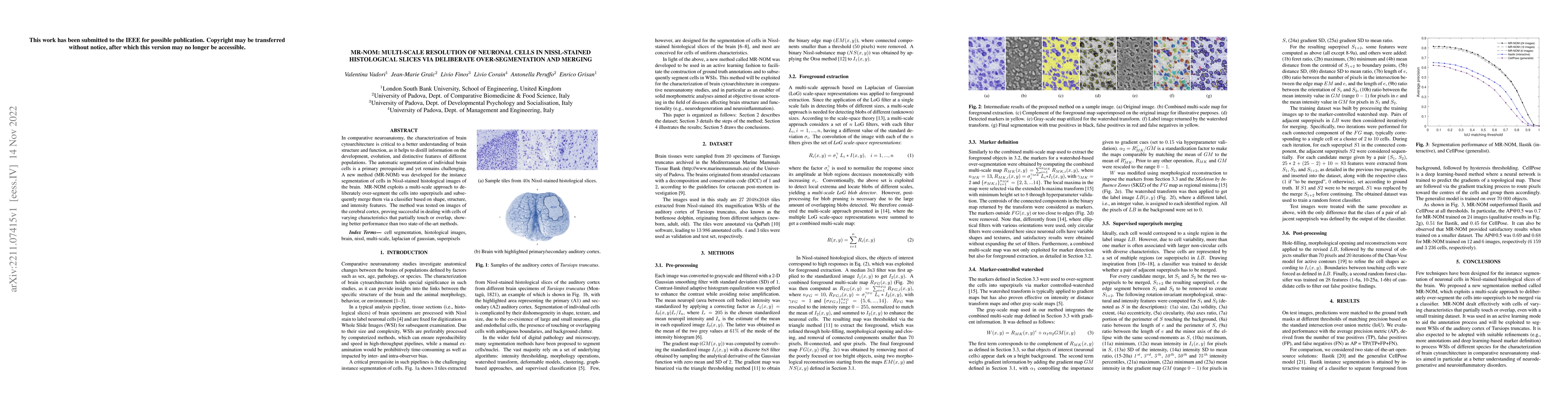 Thumbnail for MR-NOM: Multi-scale Resolution of Neuronal cells in Nissl-stained
  histological slices via deliberate Over-segmentation and Merging