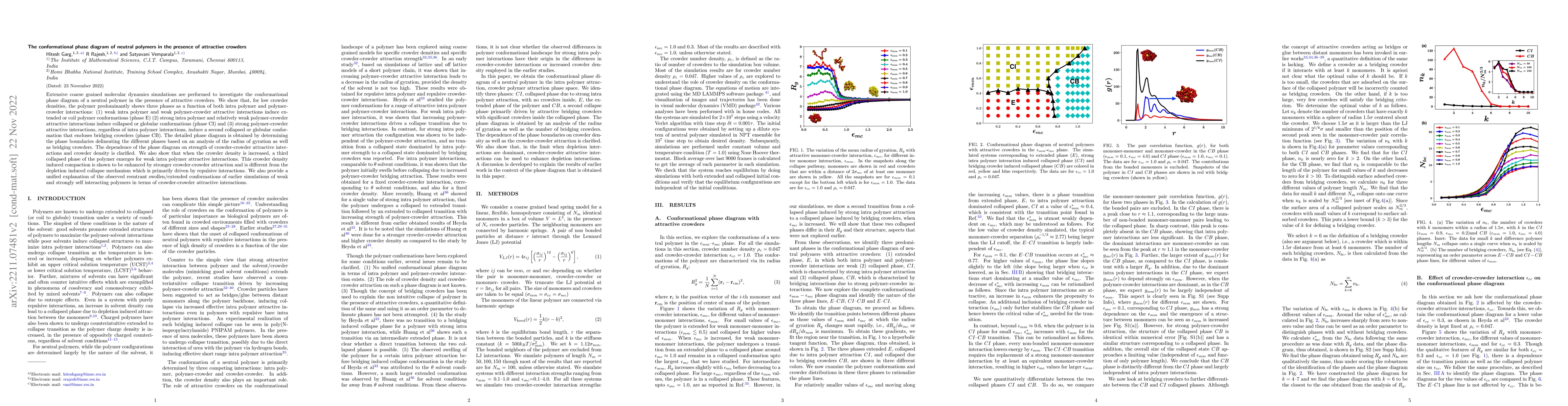 Thumbnail for The conformational phase diagram of neutral polymers in the presence of
  attractive crowders
