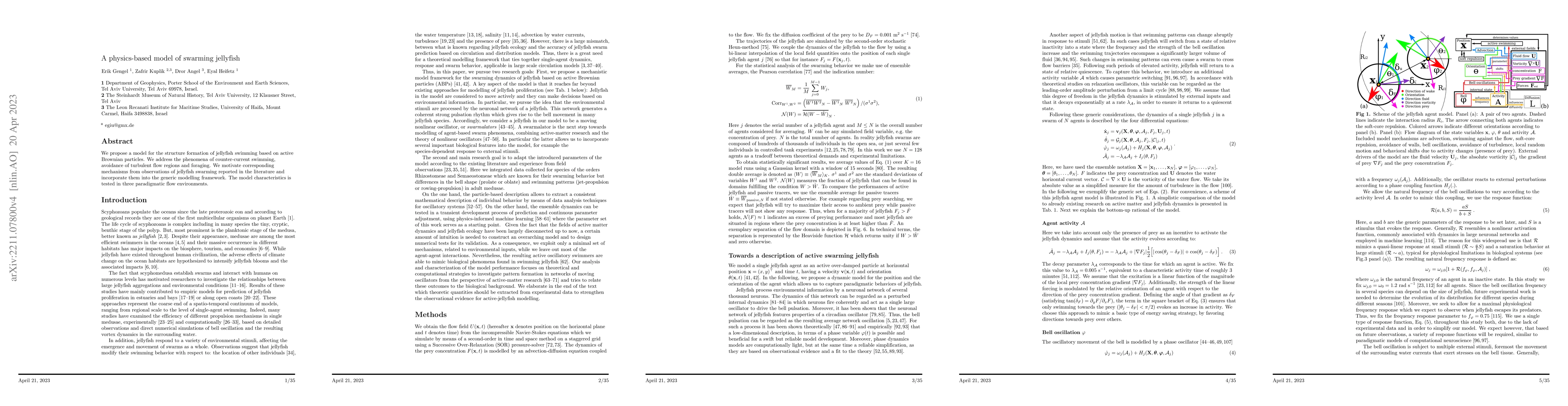 Thumbnail for A physics-based model of swarming jellyfish