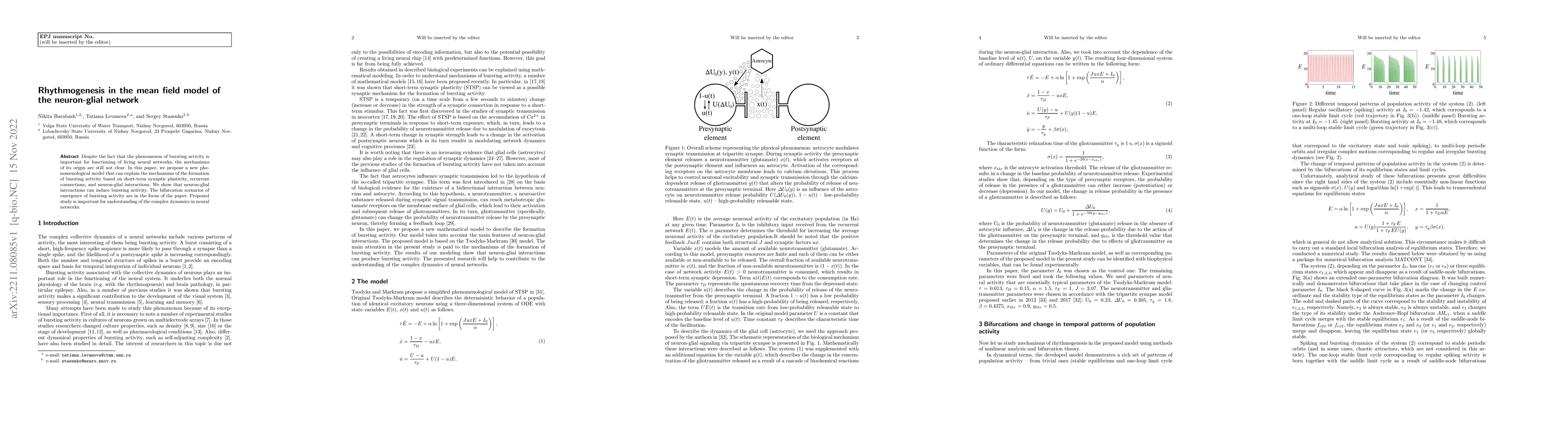 Thumbnail for Rhythmogenesis in the mean field model of the neuron-glial network