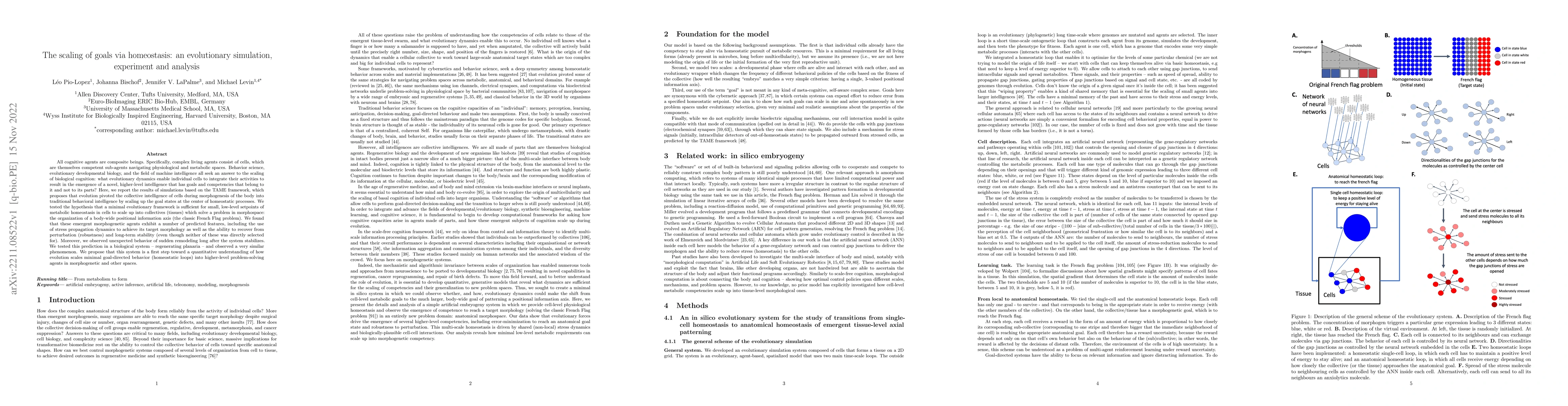 Thumbnail for The scaling of goals via homeostasis: an evolutionary simulation,
  experiment and analysis