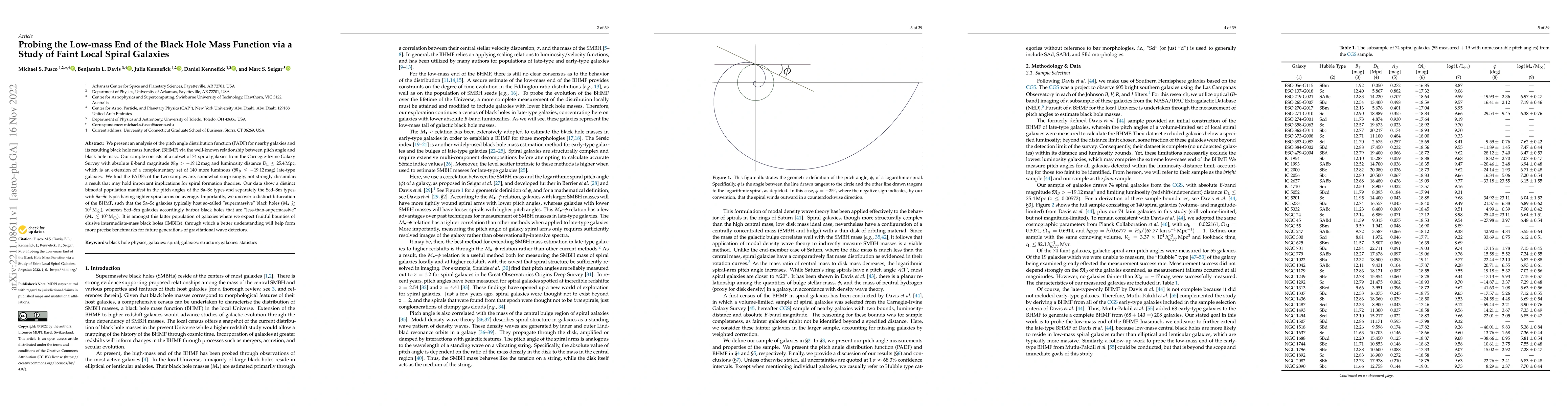 Thumbnail for Probing the Low-mass End of the Black Hole Mass Function via a Study of
  Faint Local Spiral Galaxies