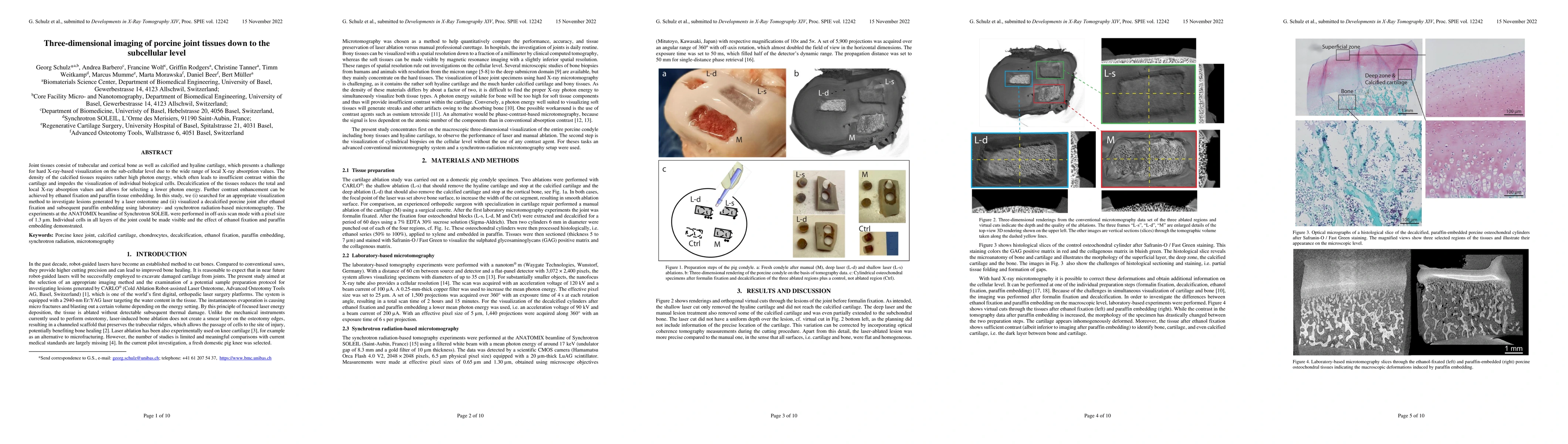 Thumbnail for Three-dimensional imaging of porcine joint tissues down to the
  subcellular level