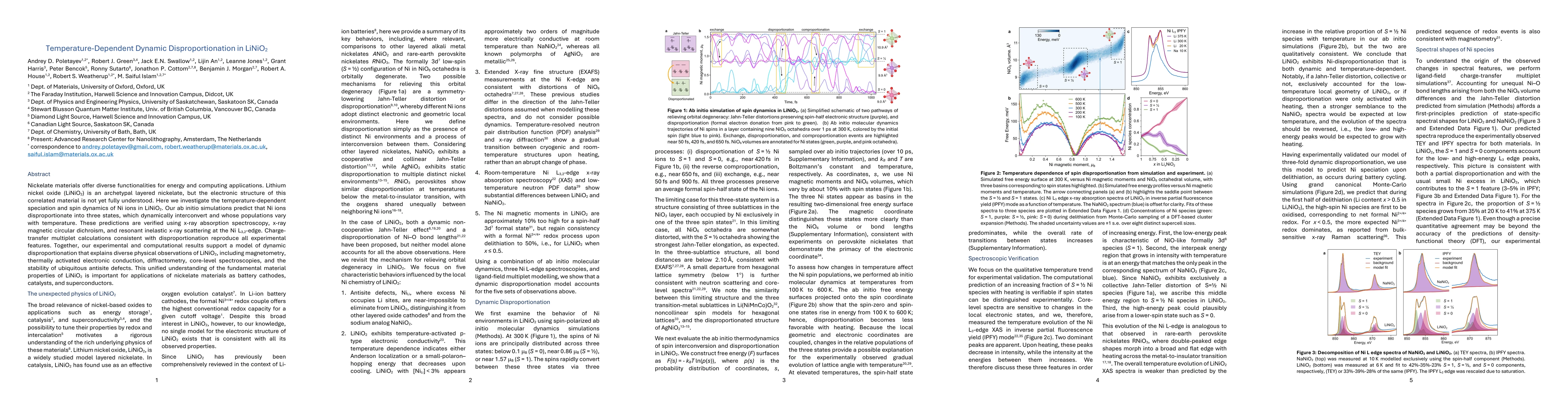 Thumbnail for Temperature-Dependent Dynamic Disproportionation in LiNiO$_2$
