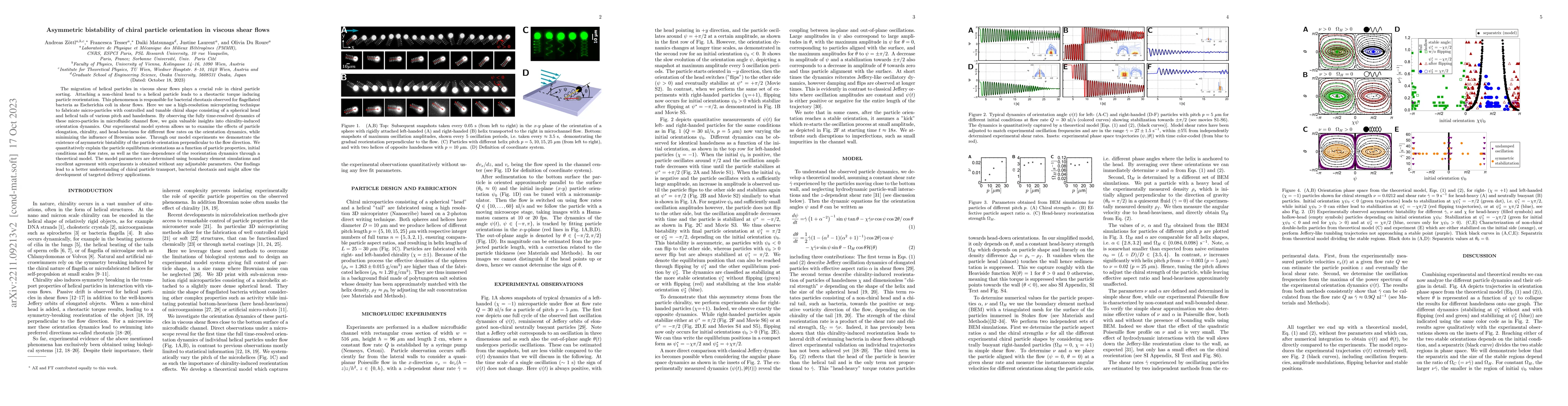 Thumbnail for Asymmetric bistability of chiral particle orientation in viscous shear
  flows