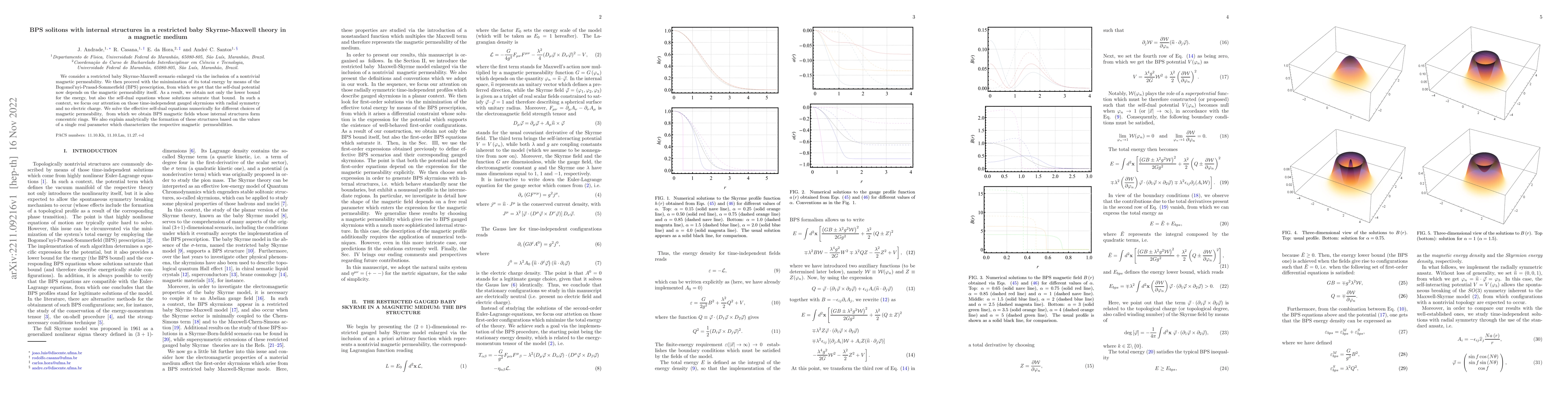 Thumbnail for BPS solitons with internal structures in a restricted baby
  Skyrme-Maxwell theory in a magnetic medium