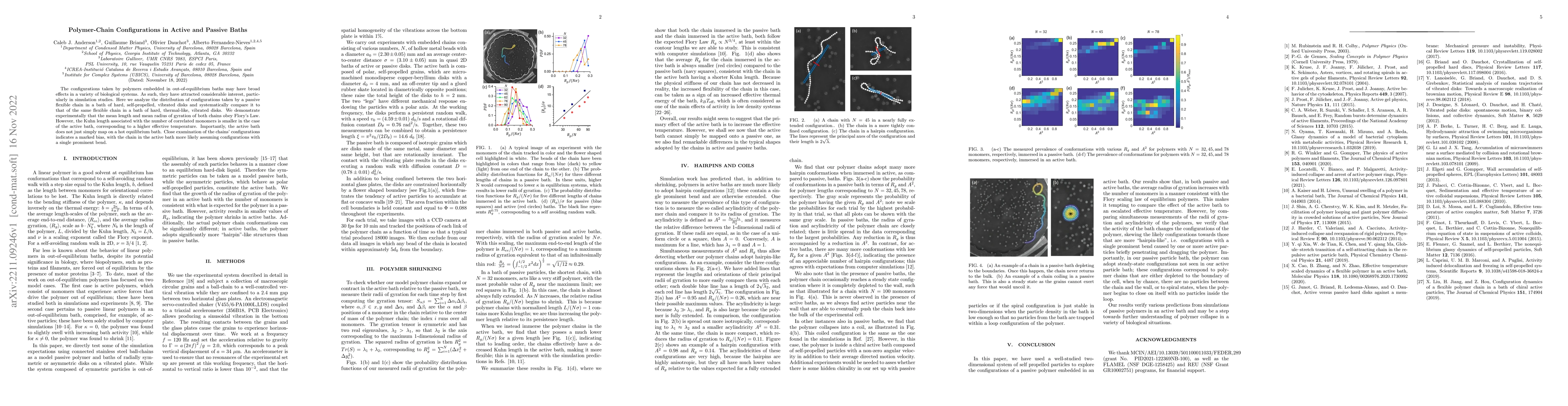 Thumbnail for Polymer-Chain Configurations in Active and Passive Baths