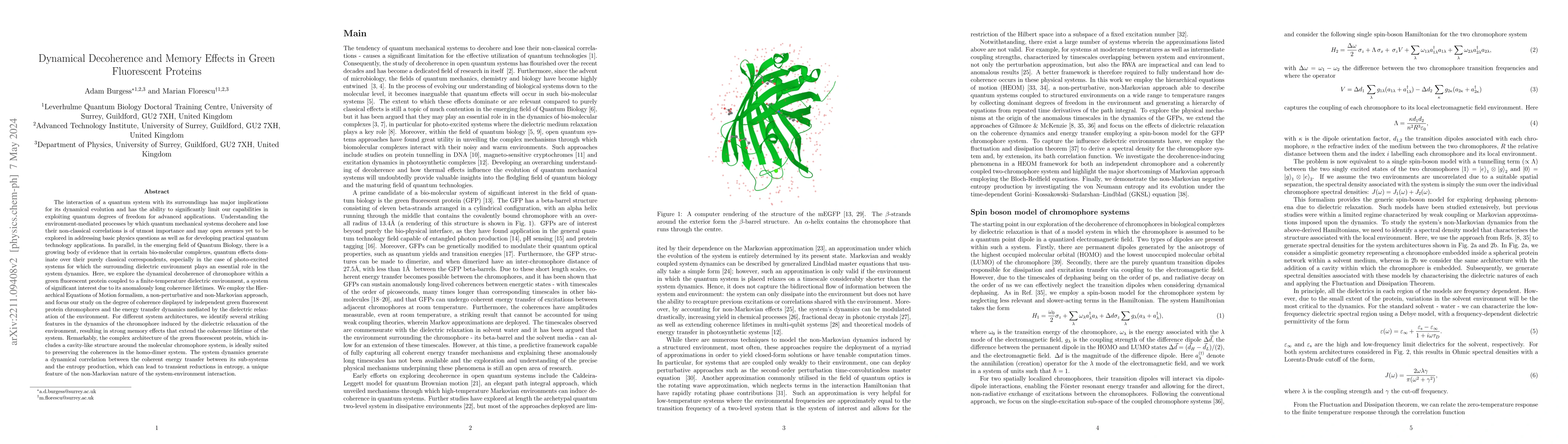 Thumbnail for Dynamical Decoherence and Memory Effects in Green Fluorescent Proteins
  by Dielectric Relaxation