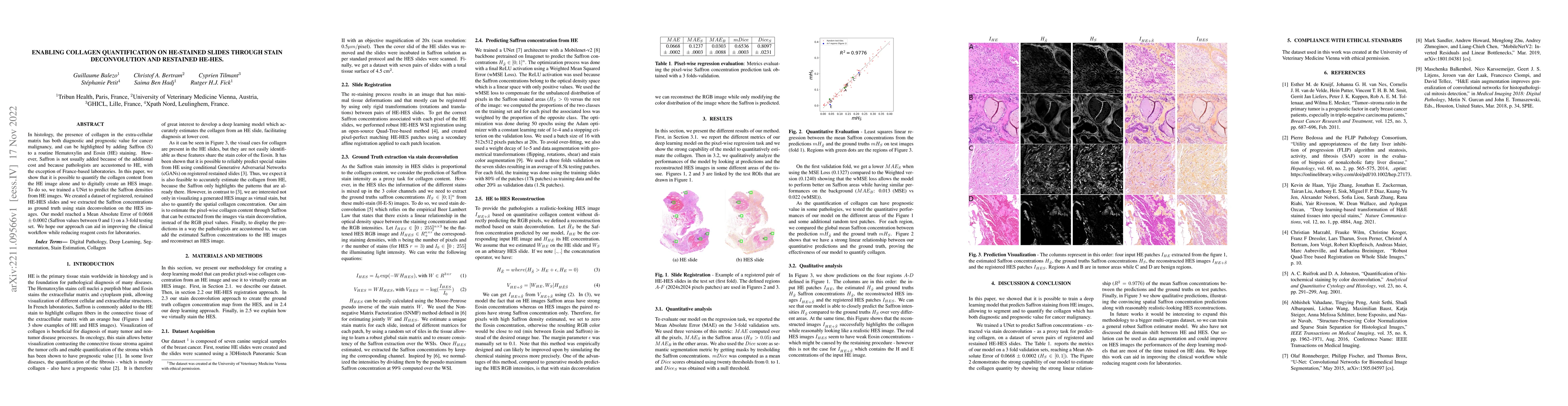 Thumbnail for Enabling Collagen Quantification on HE-stained Slides Through Stain
  Deconvolution and Restained HE-HES