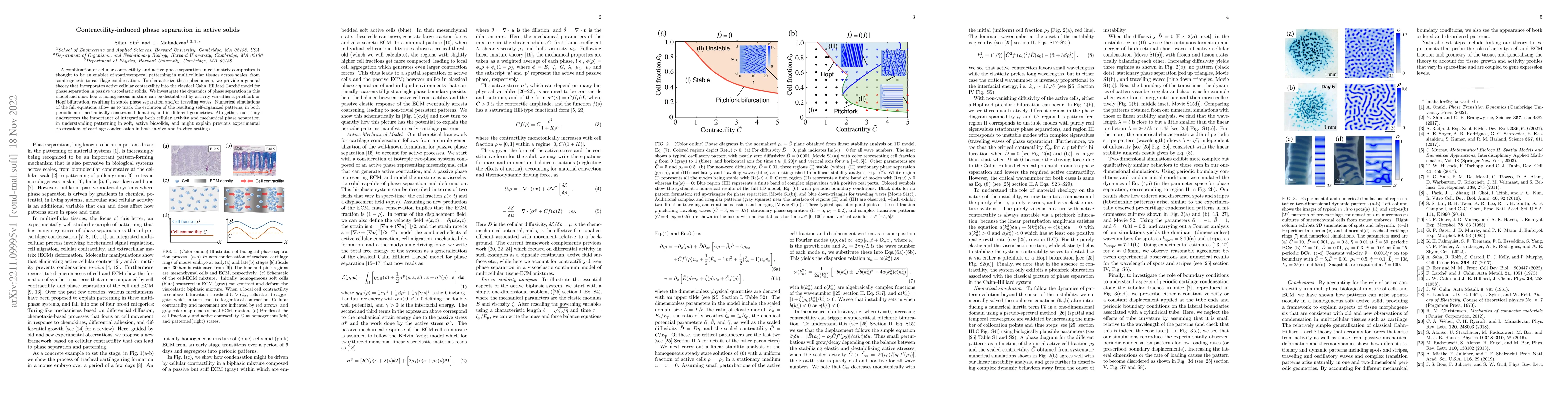 Thumbnail for Contractility-induced phase separation in active solids