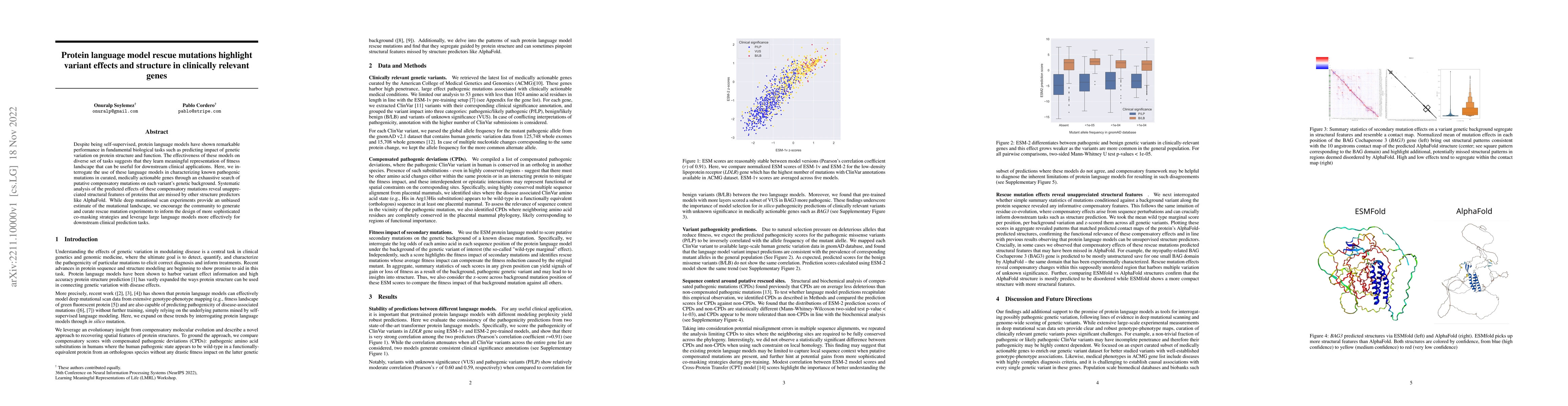 Thumbnail for Protein language model rescue mutations highlight variant effects and
  structure in clinically relevant genes