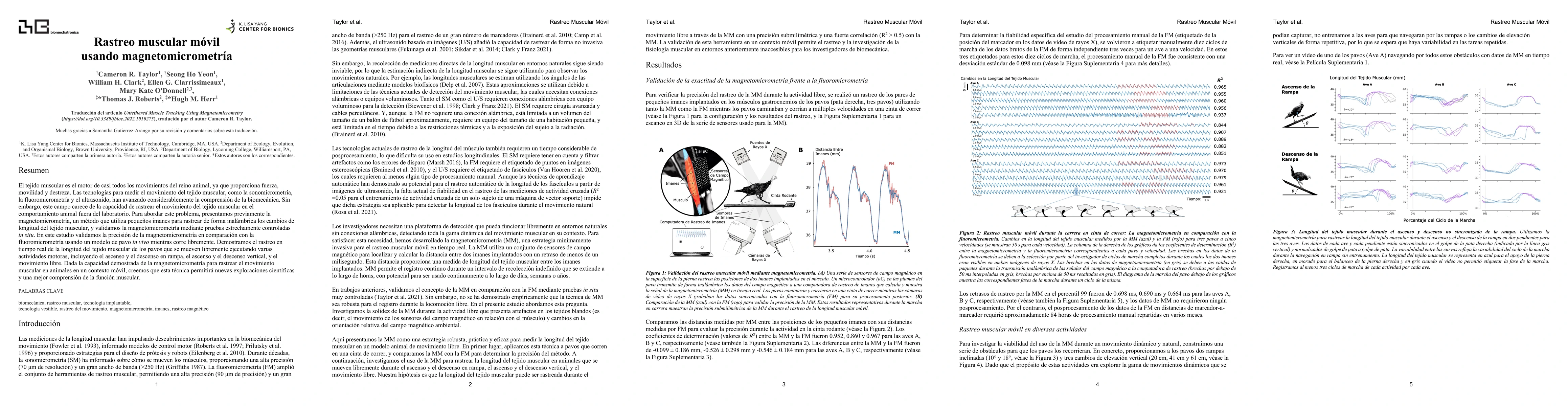 Thumbnail for Rastreo muscular m\'ovil usando magnetomicrometr\'ia -- traducci\'on al
  espa\~nol del articulo "Untethered Muscle Tracking Using Magnetomicrometry"
  por el autor Cameron R. Taylor