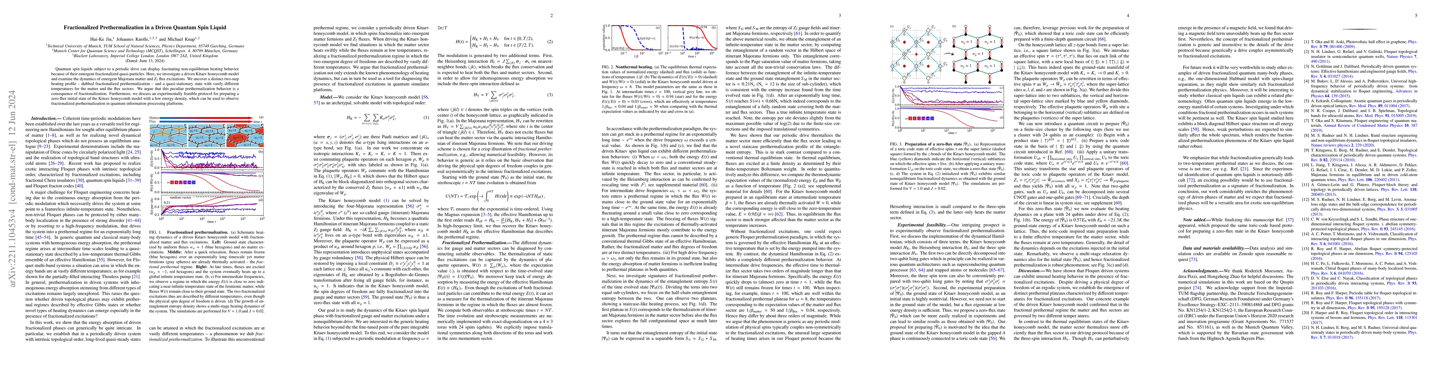 Thumbnail for Fractionalized Prethermalization in a Driven Quantum Spin Liquid