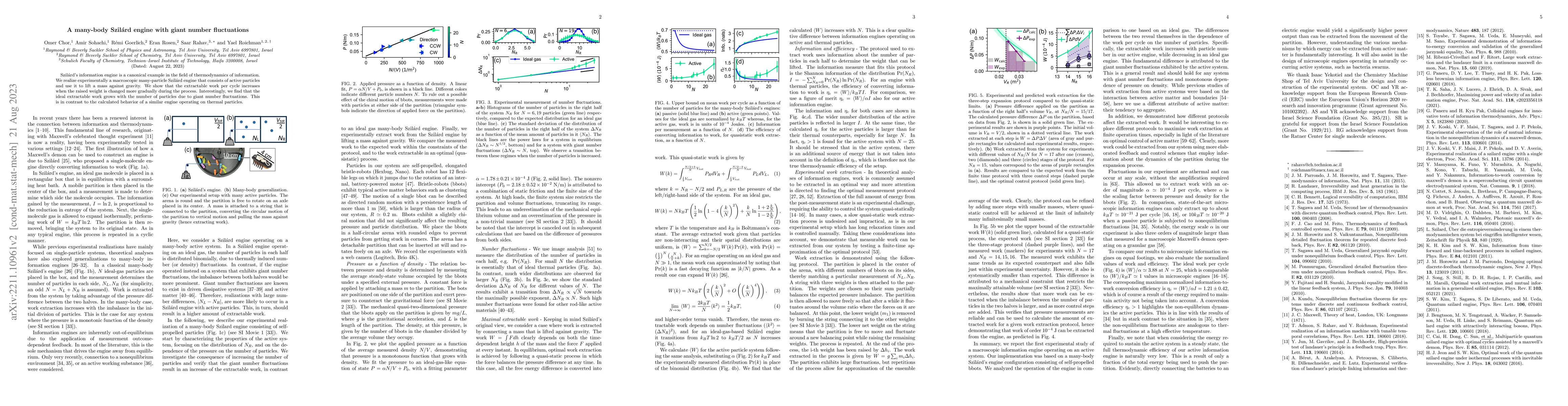 Thumbnail for A many-body Szilard engine with giant number fluctuations