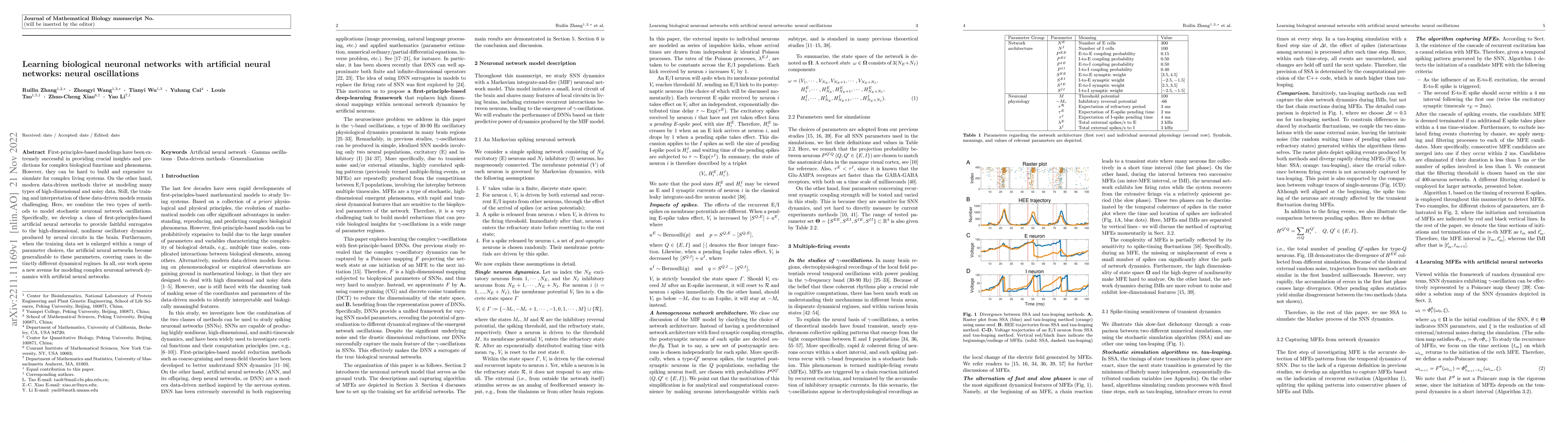 Thumbnail for Learning biological neuronal networks with artificial neural networks:
  neural oscillations
