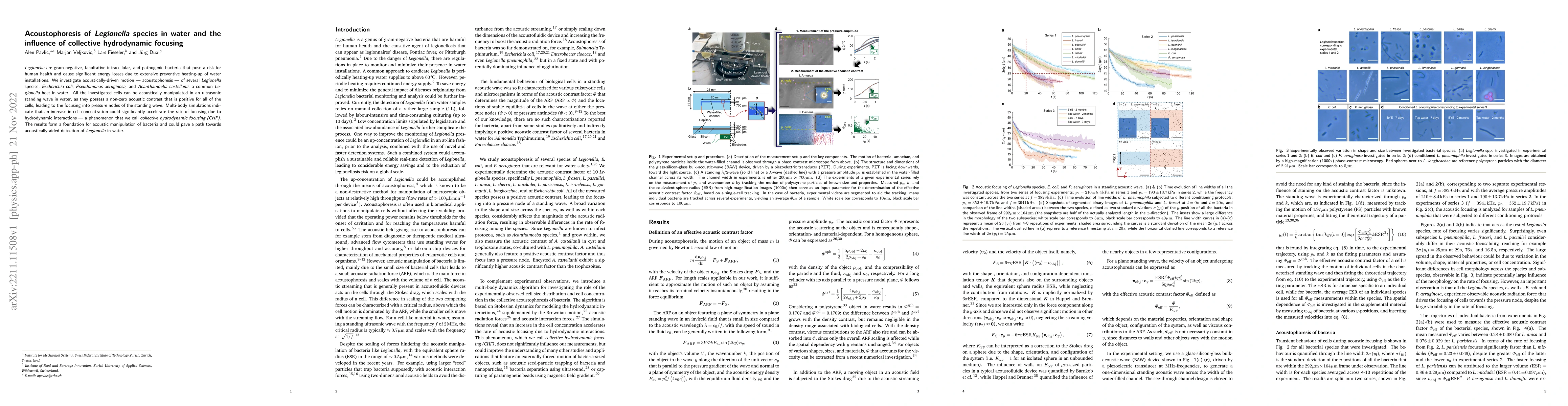 Thumbnail for Acoustophoresis of Legionella species in water and the influence of
  collective hydrodynamic focusing