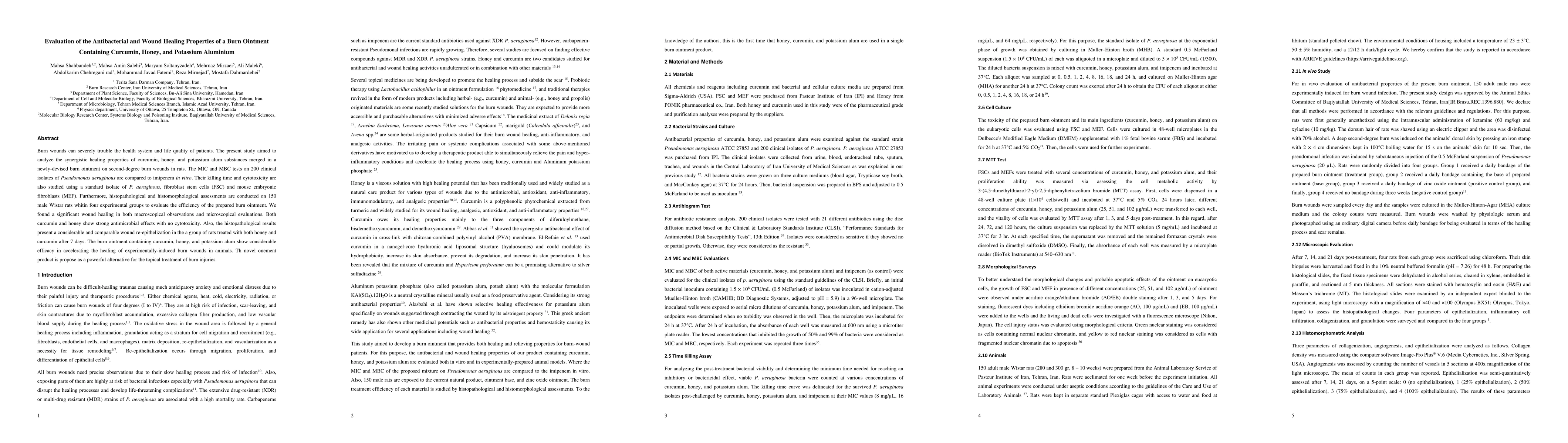 Thumbnail for Evaluation of the Antibacterial and Wound Healing Properties of a Burn
  Ointment Containing Curcumin, Honey, and Potassium Aluminium