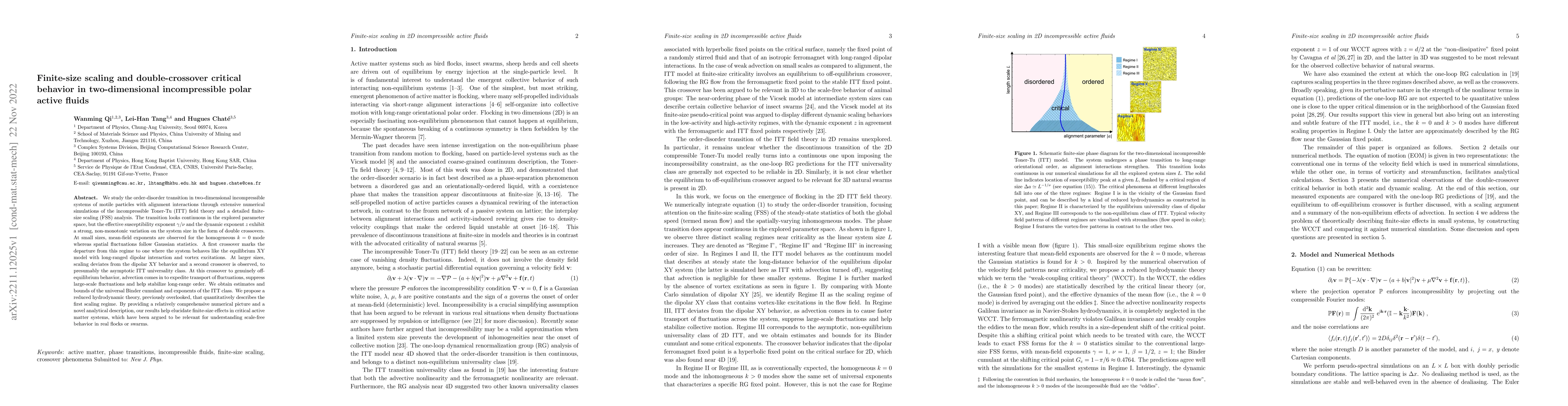 Thumbnail for Finite-size scaling and double-crossover critical behavior in
  two-dimensional incompressible polar active fluids