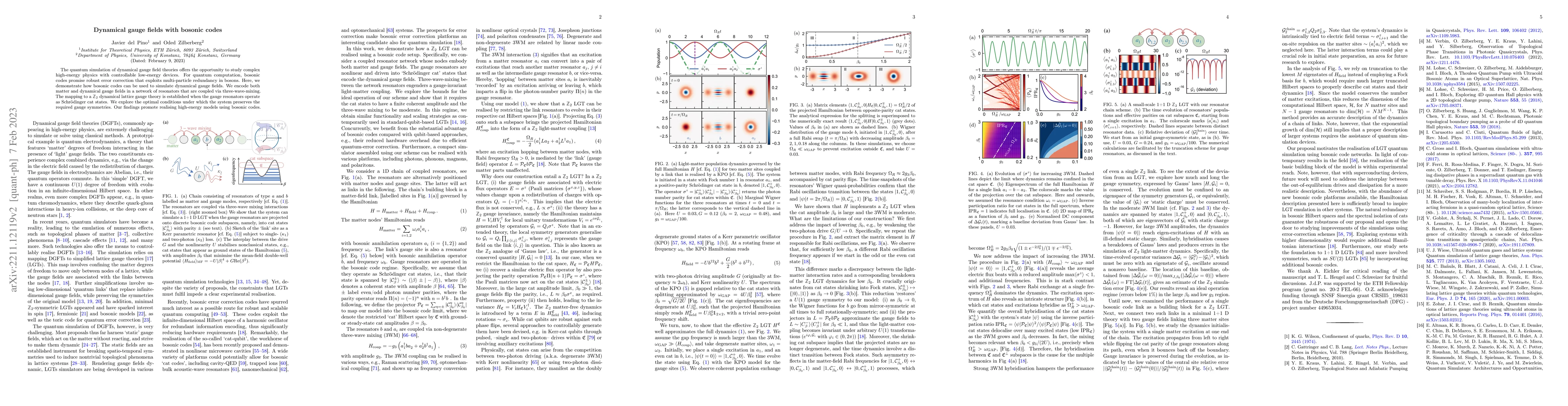 Thumbnail for Dynamical gauge fields with bosonic codes