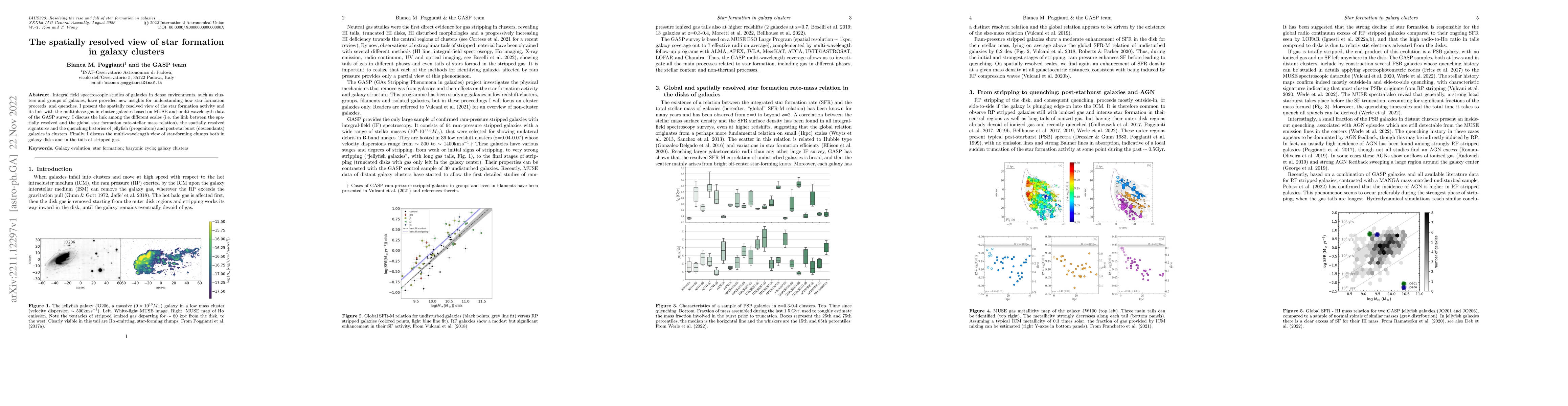 Thumbnail for The spatially resolved view of star formation in galaxy clusters