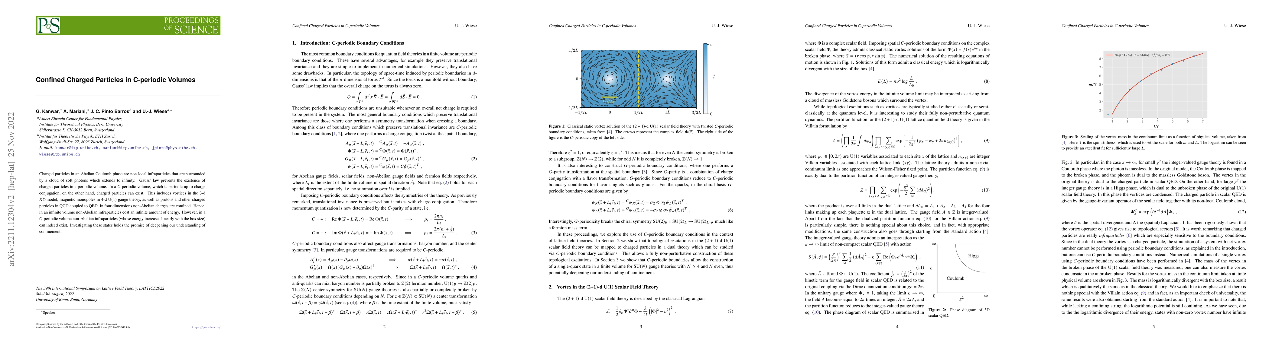 Thumbnail for Confined Charged Particles in C-periodic Volumes