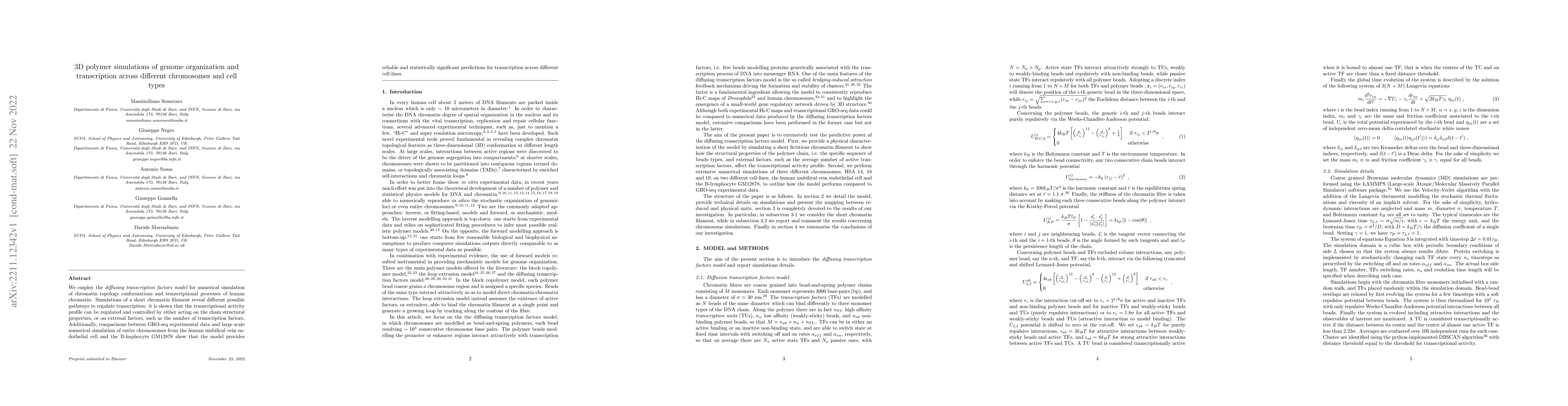 Thumbnail for 3D polymer simulations of genome organization and transcription across
  different chromosomes and cell types