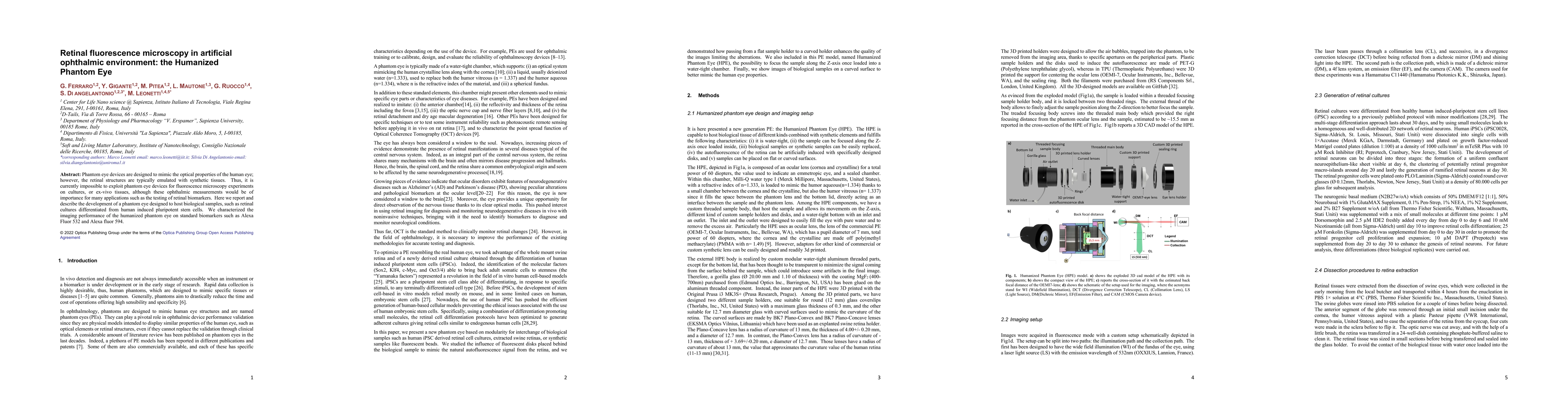 Thumbnail for Retinal fluorescence microscopy in artificial ophthalmic environment:
  the Humanized Phantom Eye
