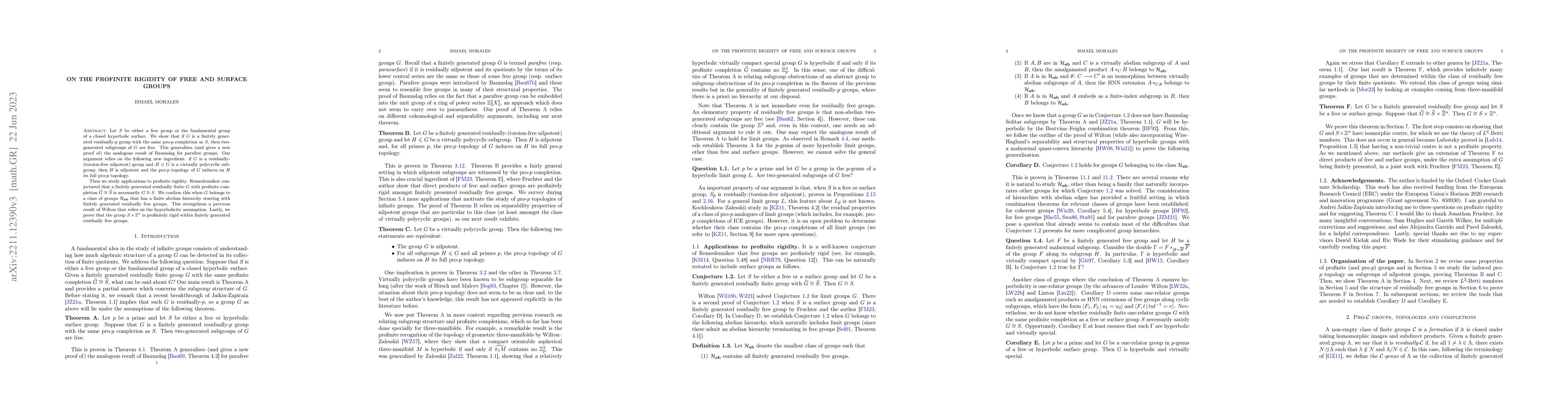 Thumbnail for On the profinite rigidity of free and surface groups