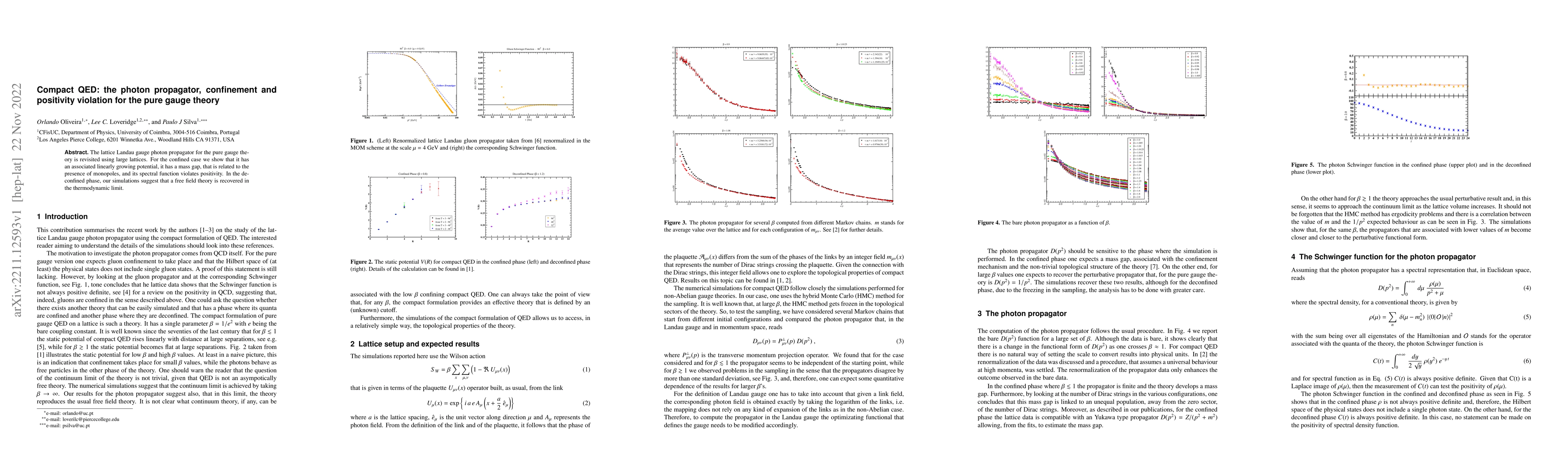 Thumbnail for Compact QED: the photon propagator, confinement and positivity violation
  for the pure gauge theory