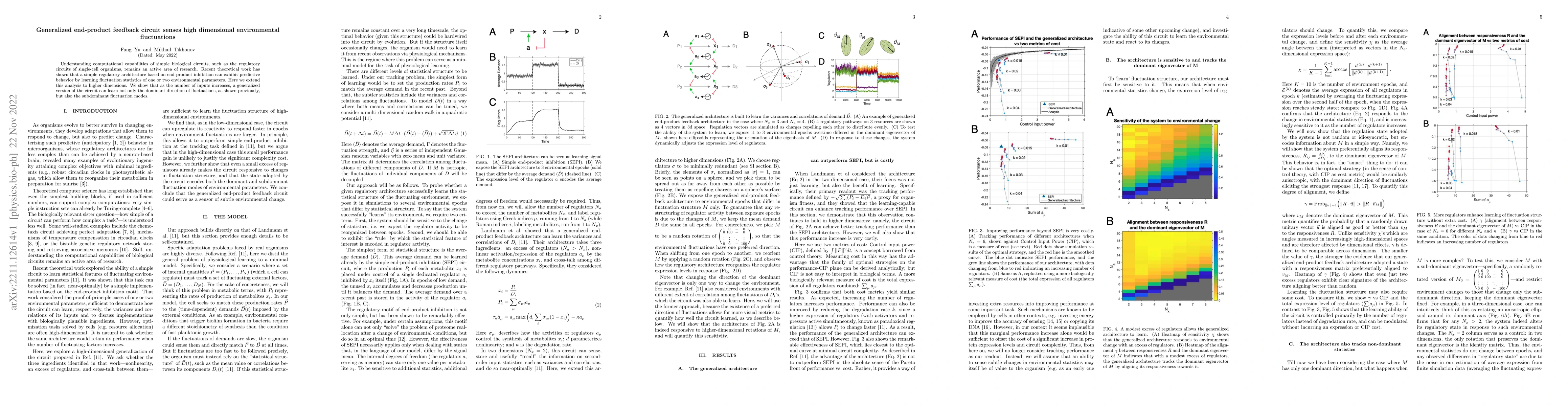 Thumbnail for Generalized end-product feedback circuit senses high dimensional
  environmental fluctuations