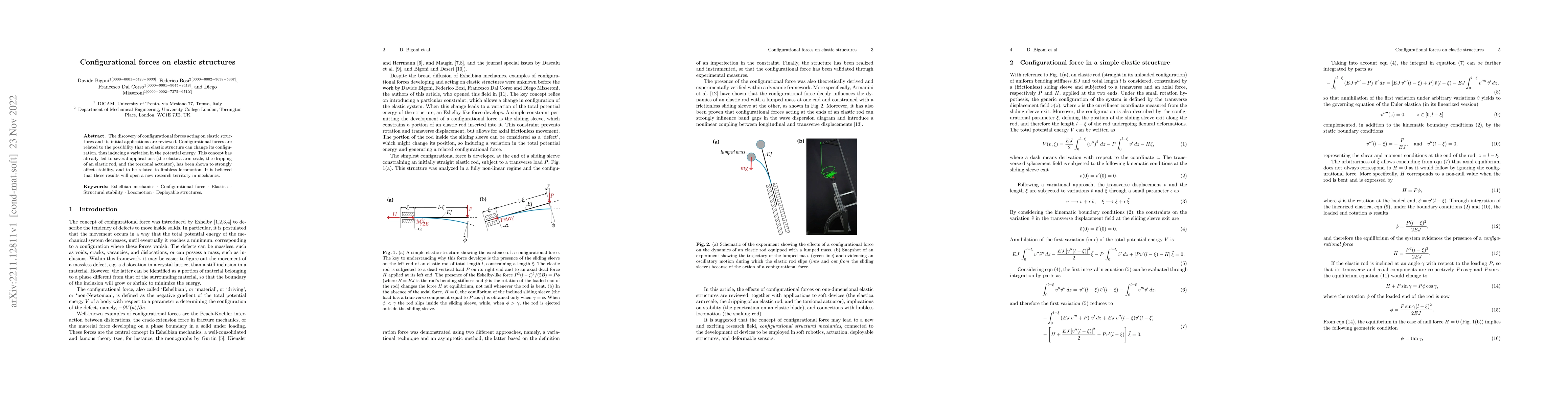 Thumbnail for Configurational forces on elastic structures
