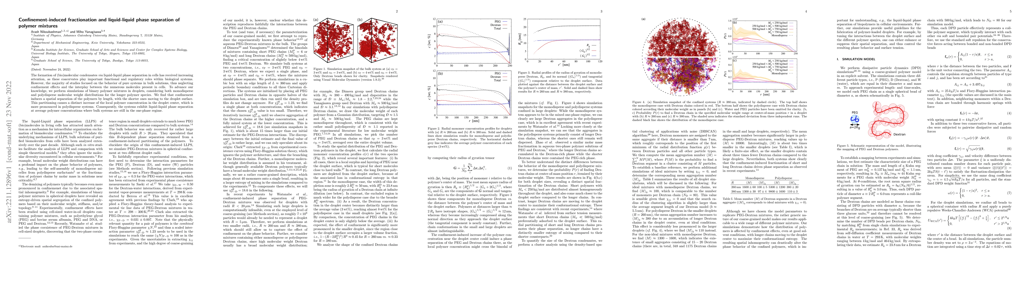 Thumbnail for Confinement-induced fractionation and liquid-liquid phase separation of
  polymer mixtures