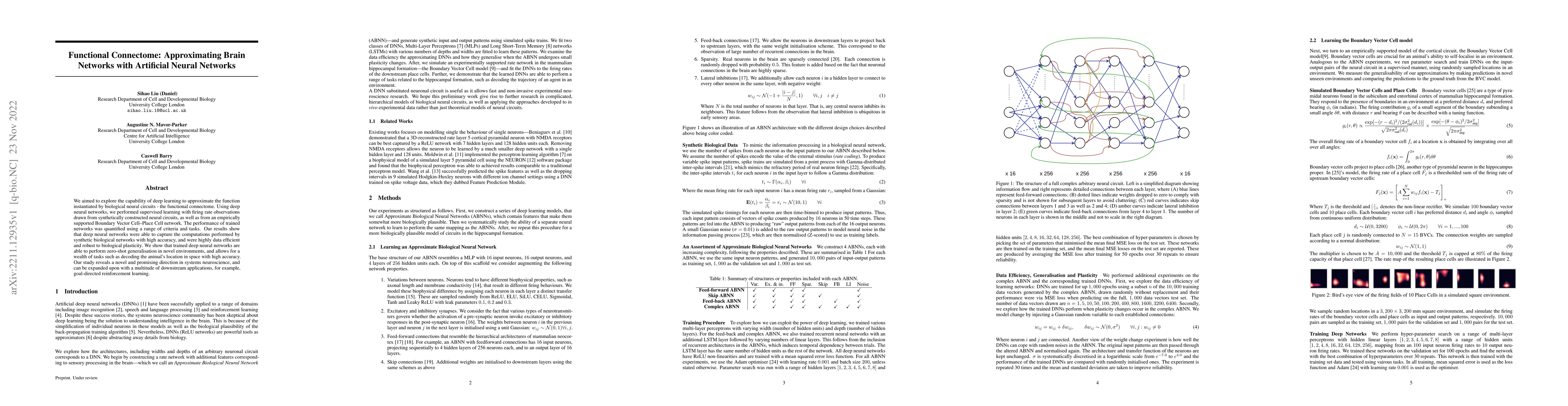 Thumbnail for Functional Connectome: Approximating Brain Networks with Artificial
  Neural Networks