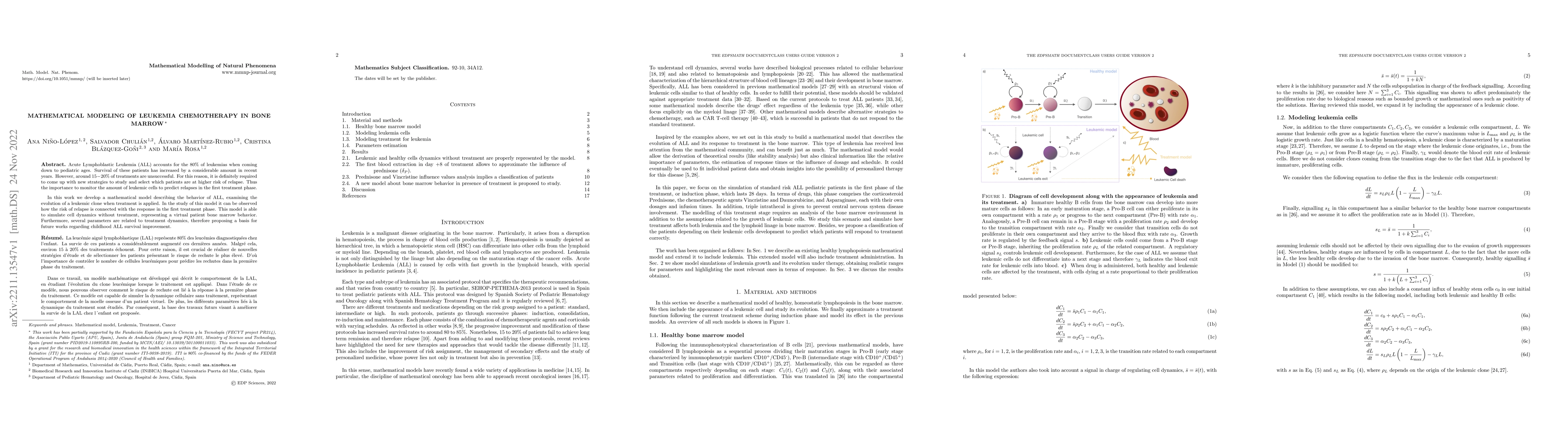 Thumbnail for Mathematical Modeling of Leukemia Chemotherapy in Bone Marrow
