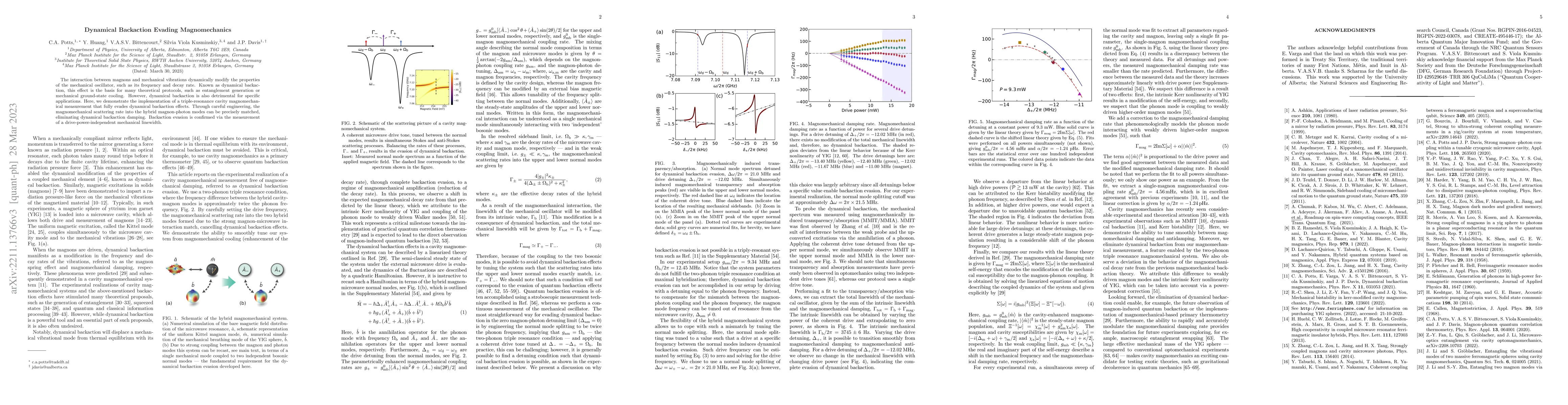 Thumbnail for Dynamical Backaction Evading Magnomechanics