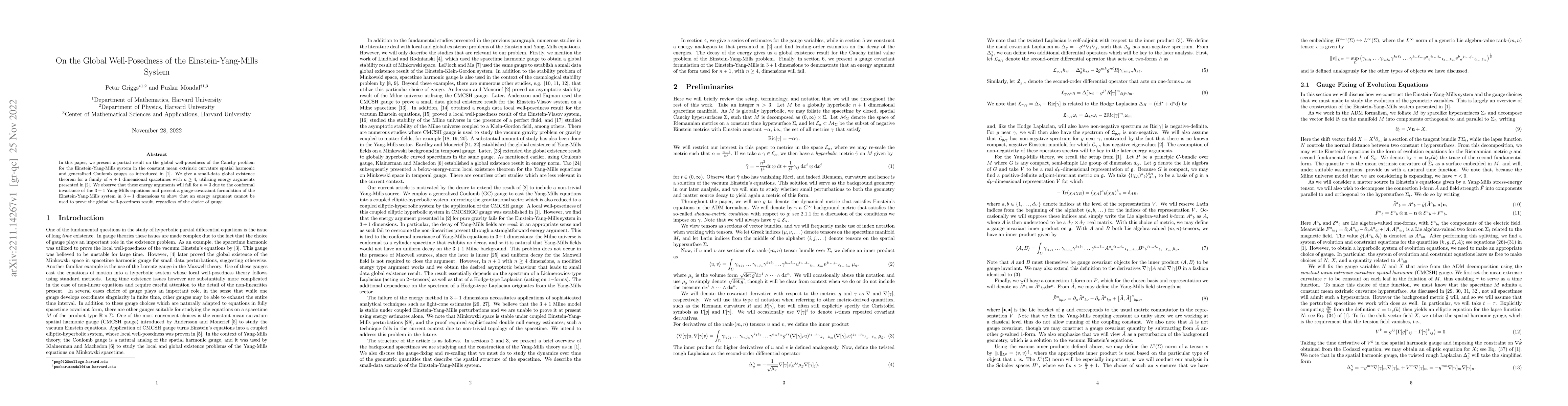 Thumbnail for On the Global Well-Posedness of the Einstein-Yang-Mills System