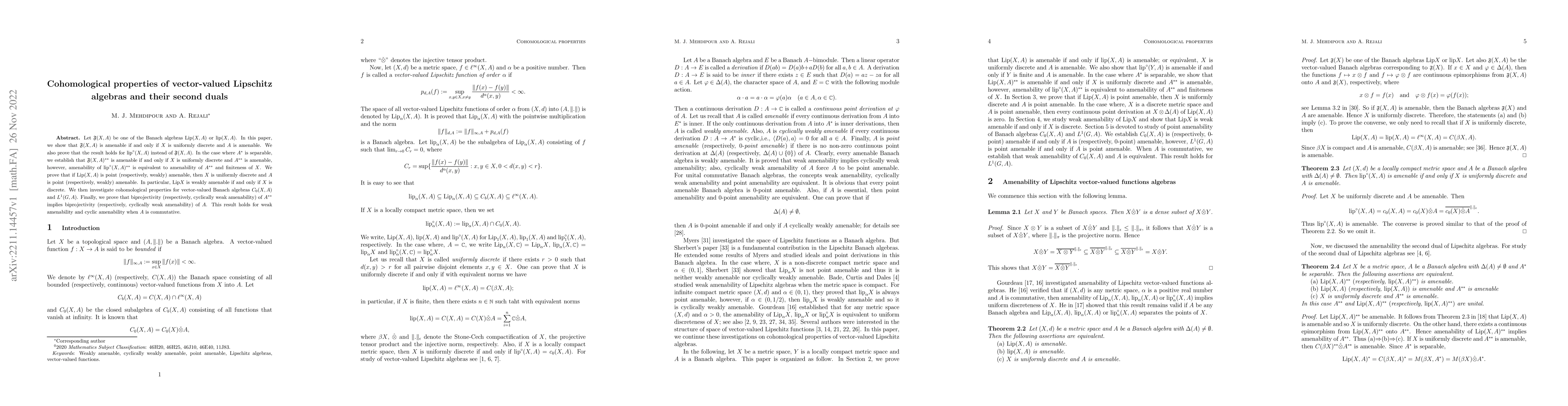 Thumbnail for Cohomological properties of vector-valued Lipschitz algebras and their
  second duals