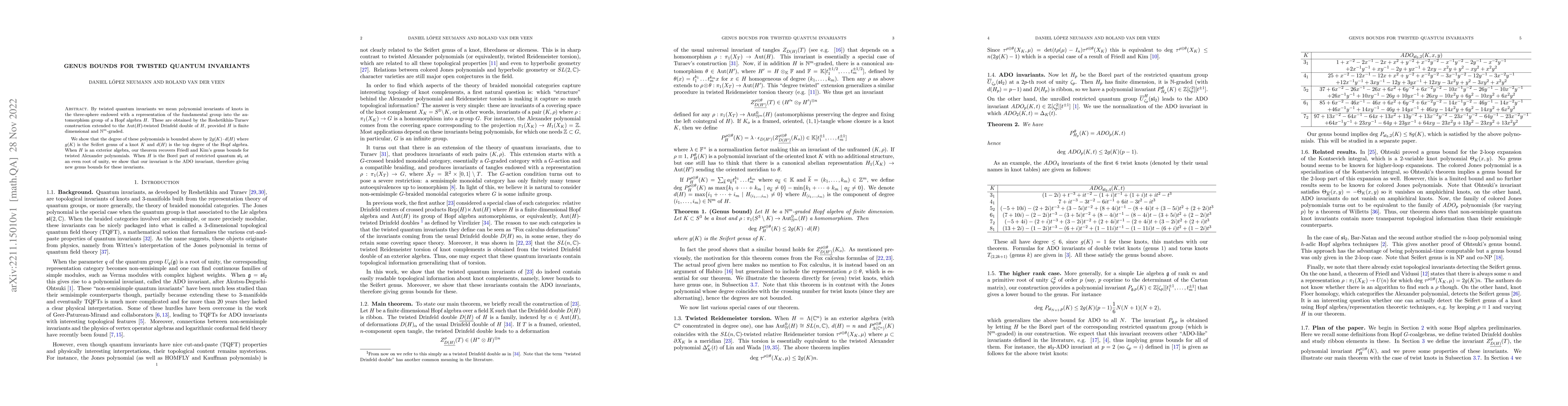 Thumbnail for Genus bounds for twisted quantum invariants