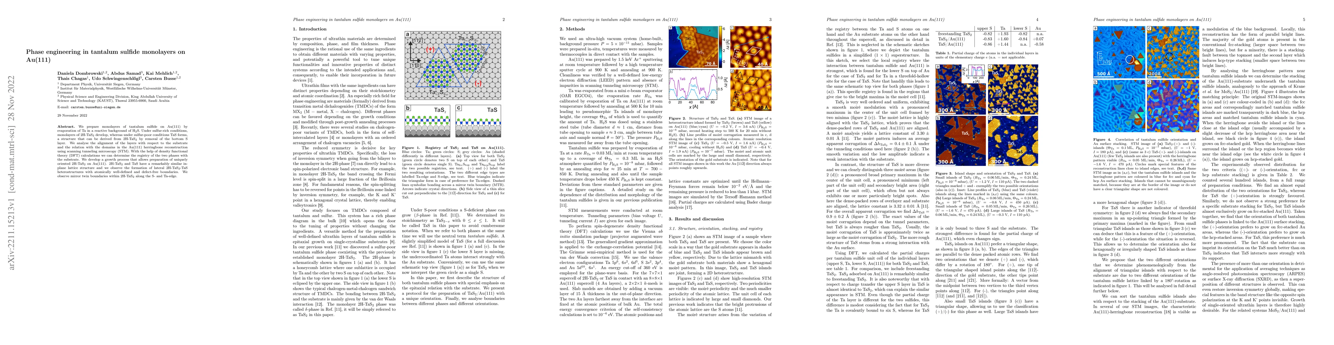 Thumbnail for Phase engineering in tantalum sulfide monolayers on Au(111)