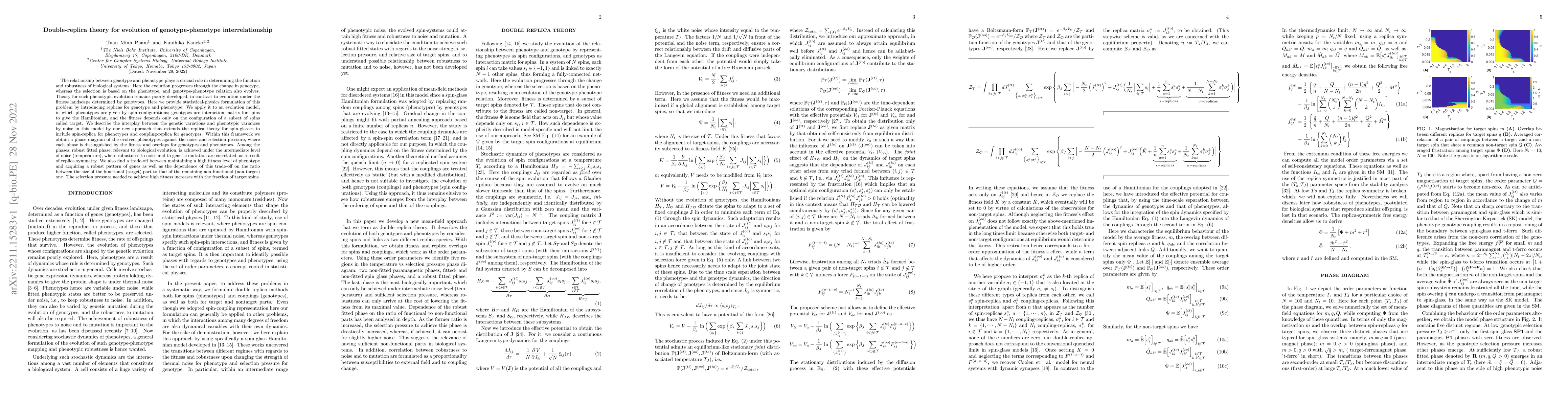 Thumbnail for Double-replica theory for evolution of genotype-phenotype
  interrelationship