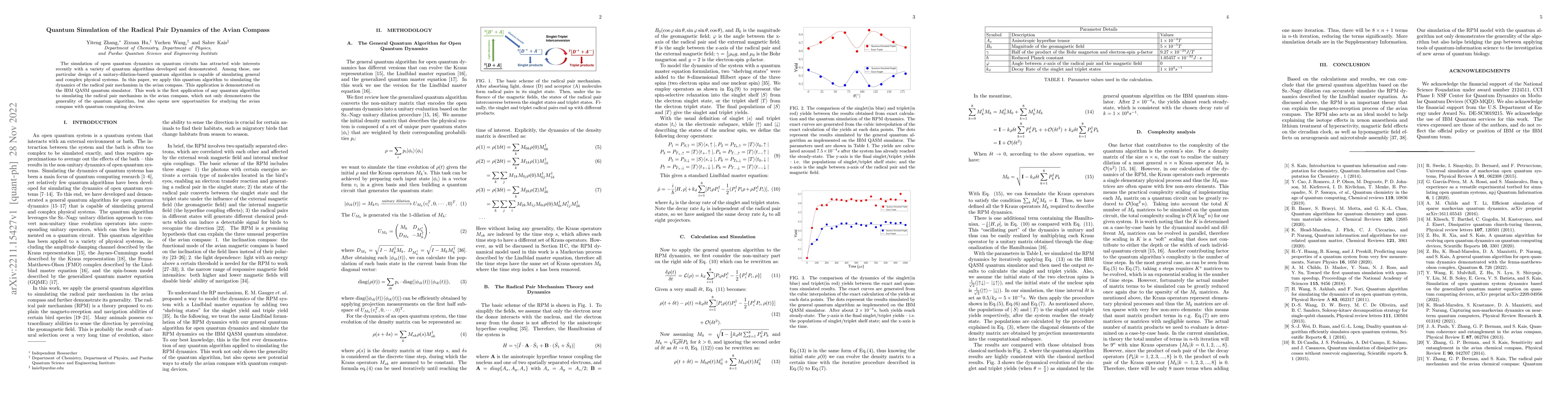 Thumbnail for Quantum Simulation of the Radical Pair Dynamics of the Avian Compass