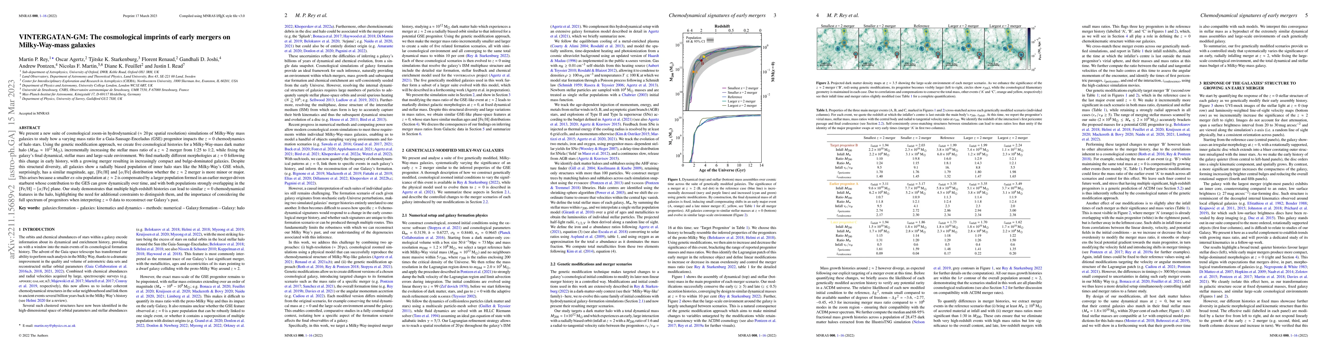 Thumbnail for VINTERGATAN-GM: The cosmological imprints of early mergers on
  Milky-Way-mass galaxies