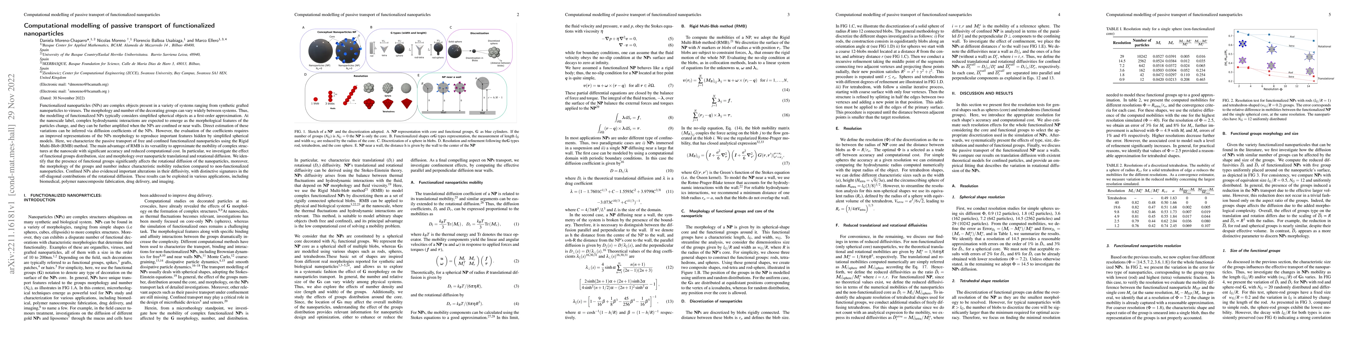 Thumbnail for Computational modelling of passive transport of functionalized
  nanoparticles