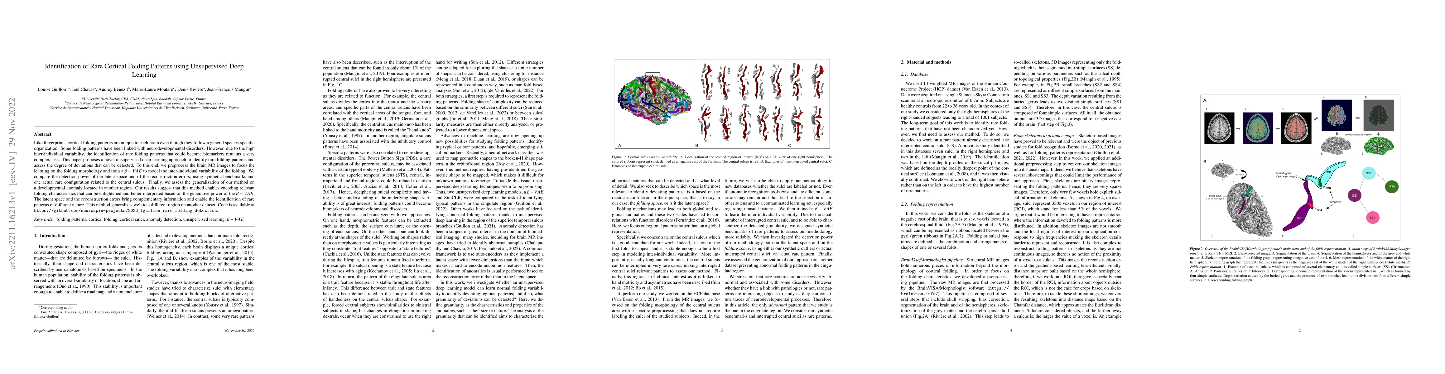 Thumbnail for Identification of Rare Cortical Folding Patterns using Unsupervised Deep
  Learning