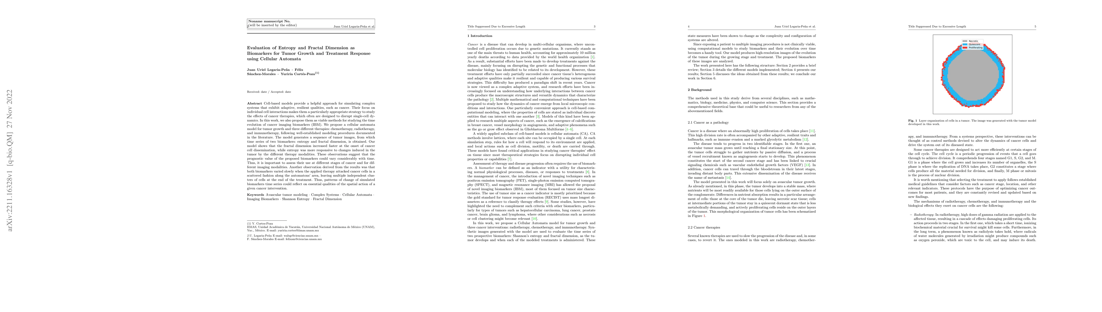 Thumbnail for Evaluation of Entropy and Fractal Dimension as Biomarkers for Tumor
  Growth and Treatment Response using Cellular Automata