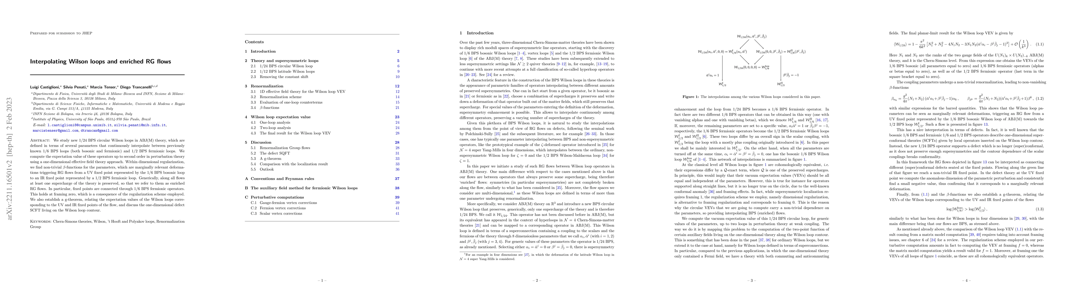 Thumbnail for Interpolating Wilson loops and enriched RG flows