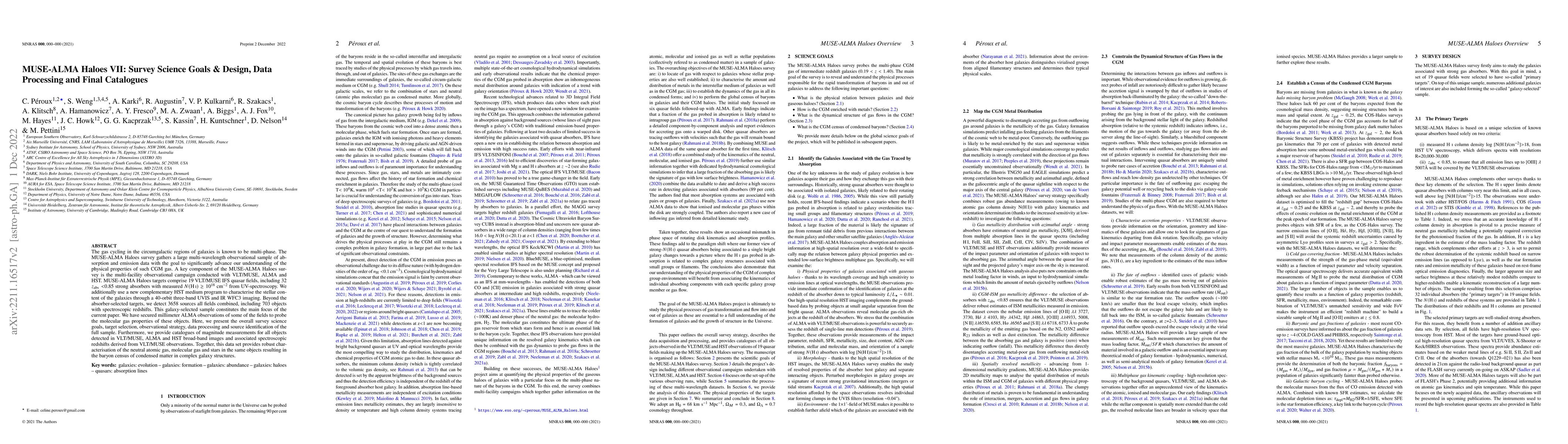 Thumbnail for MUSE-ALMA Haloes VII: Survey Science Goals & Design, Data Processing and
  Final Catalogues