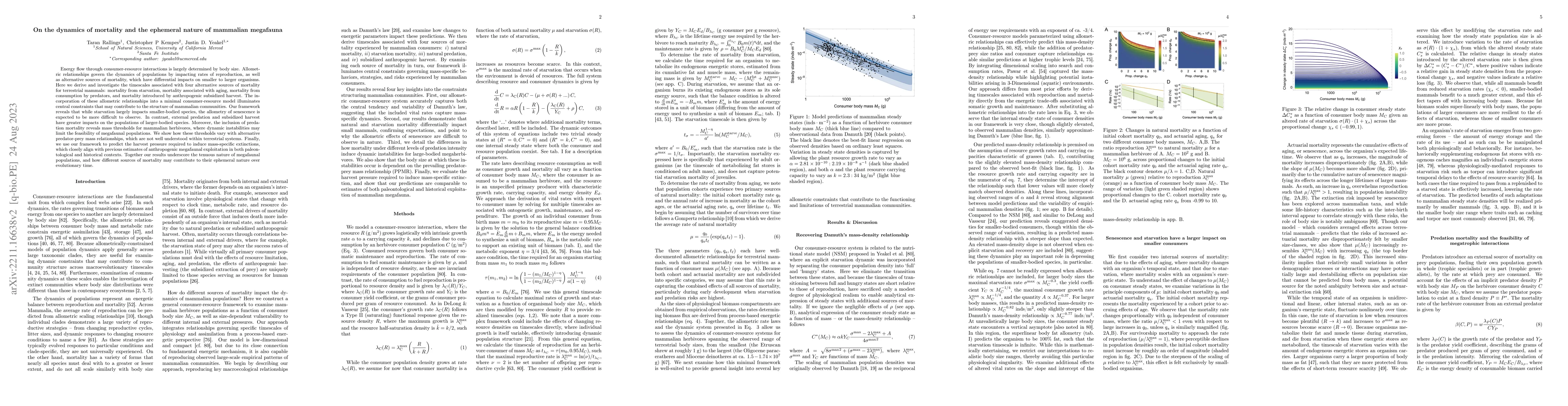 Thumbnail for On the dynamics of mortality and the ephemeral nature of mammalian
  megafauna